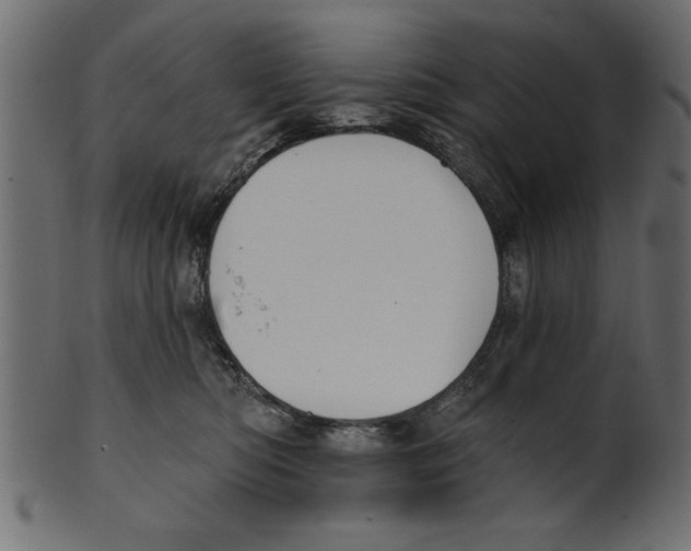 X0000100870422200807181240