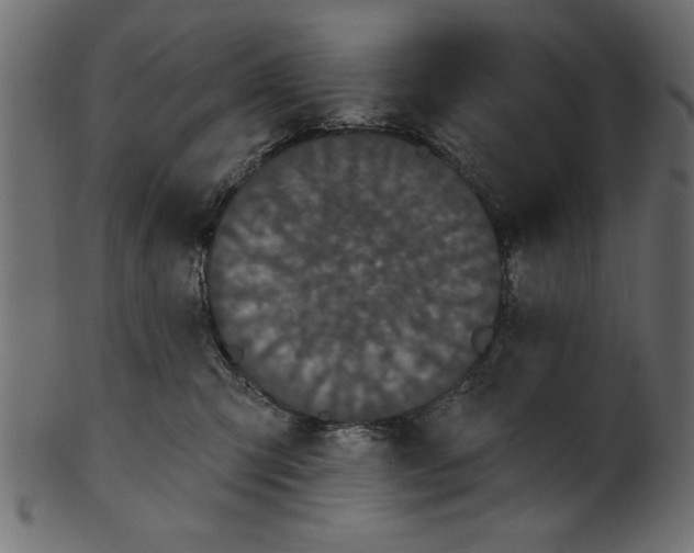 X0000100870423200807181240