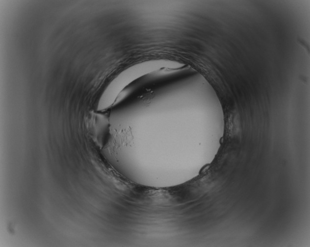 X0000100870424200807181240