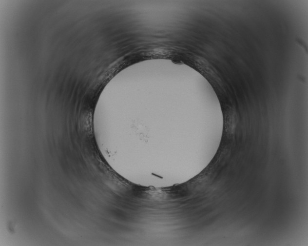 X0000100870425200807181240