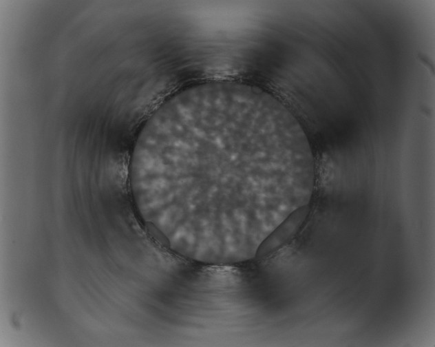 X0000100870427200807181240