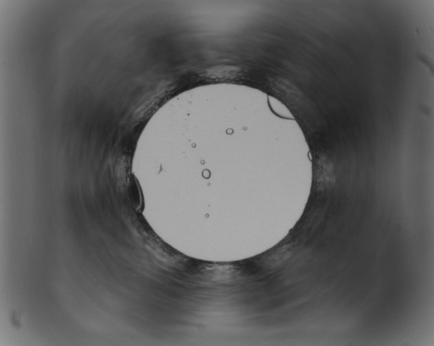 X0000100870428200807181240