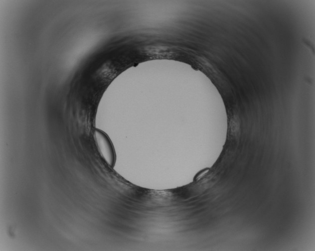 X0000100870429200807181240