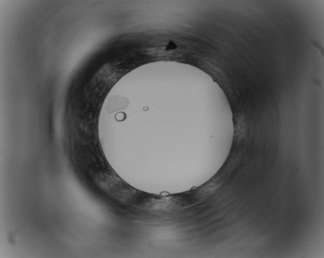 X0000100870430200807181240