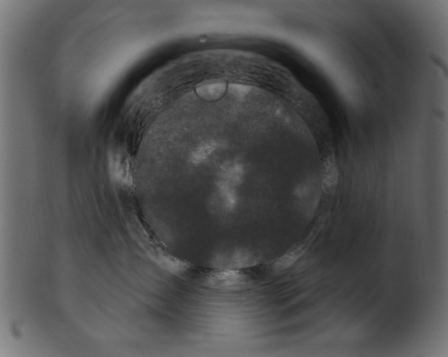 X0000100870431200807181240