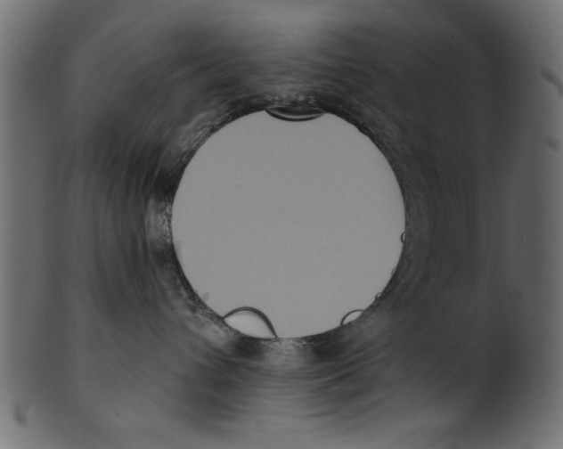 X0000100870432200807181240