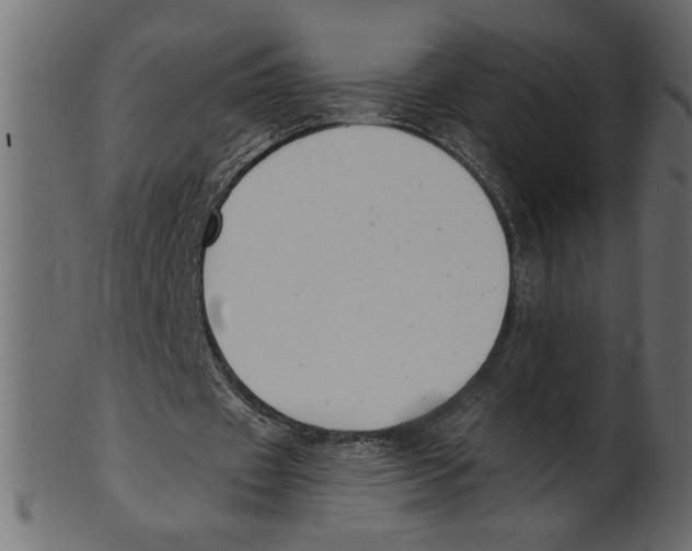 X0000100870433200807181240
