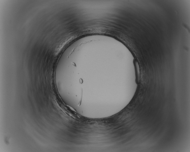X0000100870434200807181240