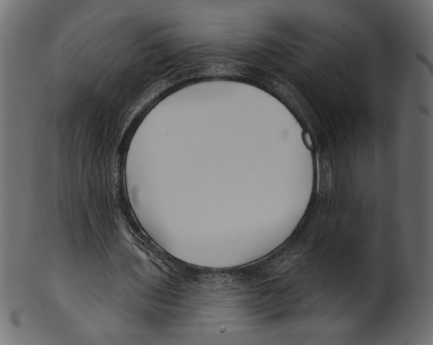 X0000100870435200807181240