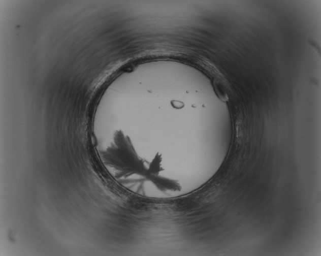 X0000100870436200807181240