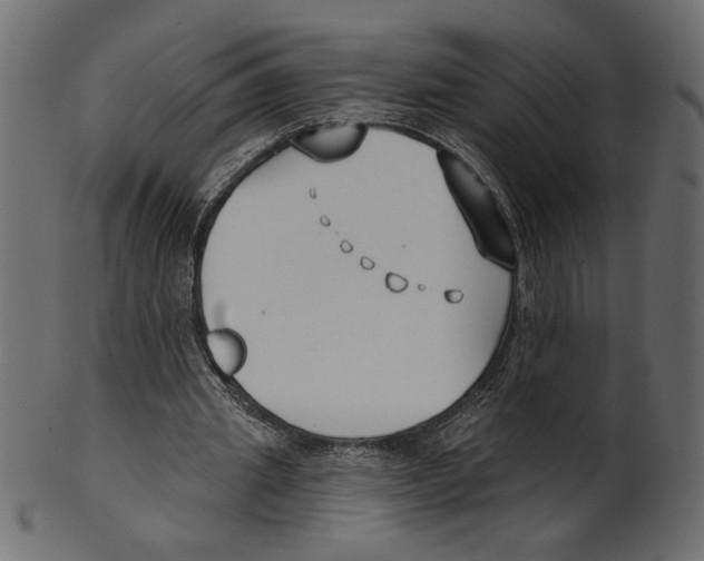 X0000100870437200807181240