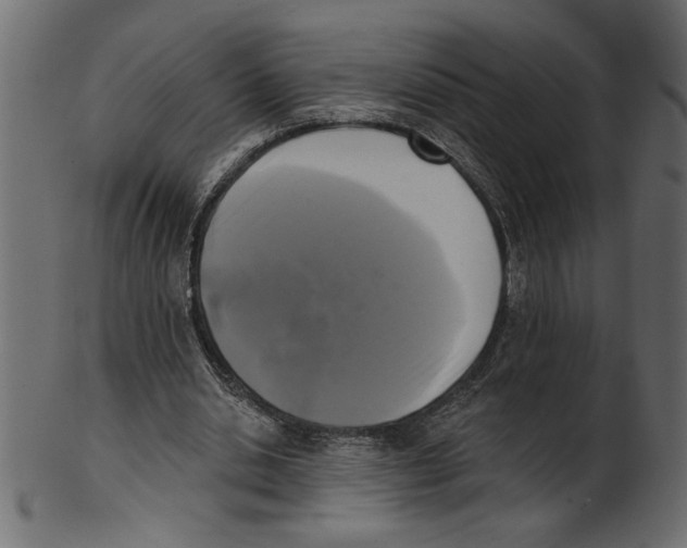 X0000100870438200807181240