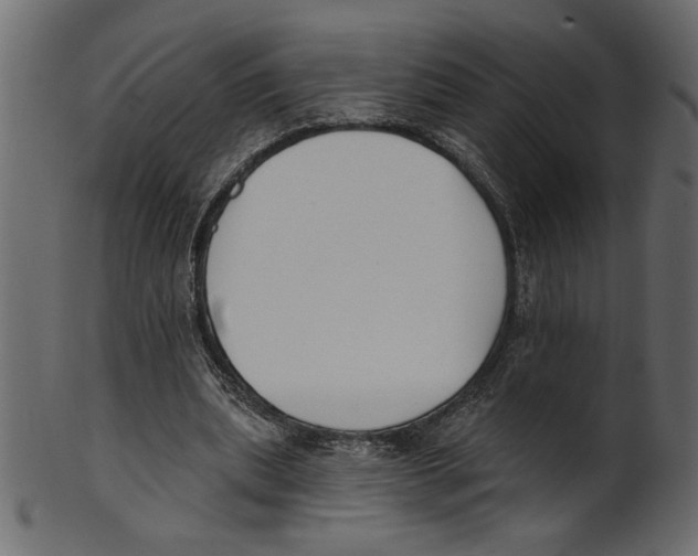 X0000100870439200807181240