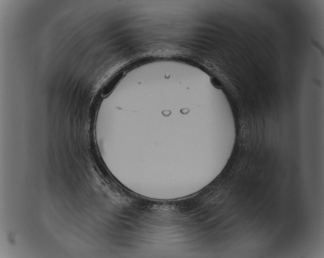 X0000100870440200807181240