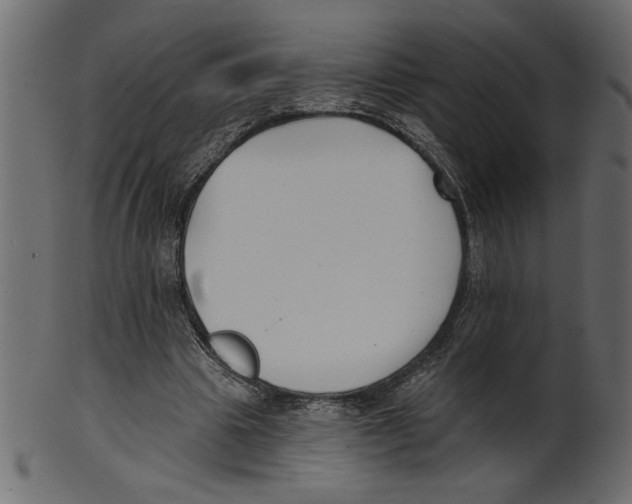 X0000100870441200807181240