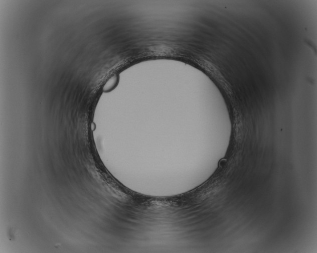 X0000100870442200807181240