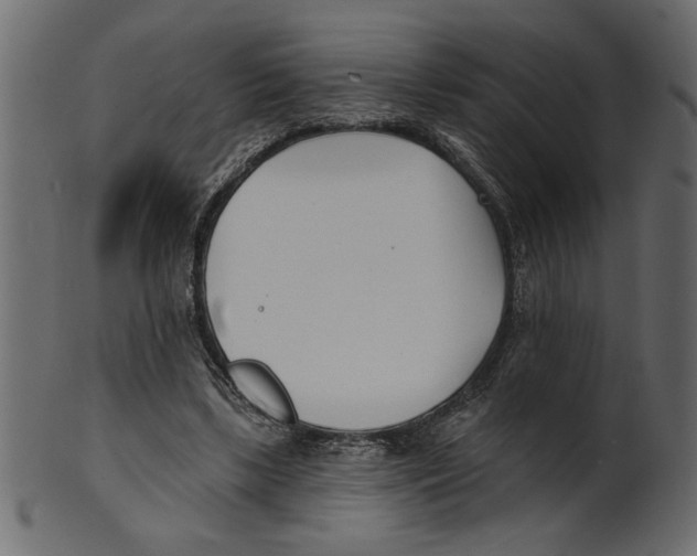 X0000100870443200807181240