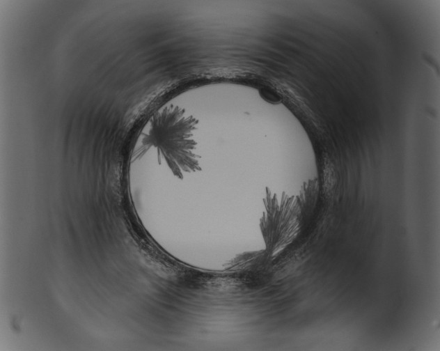 X0000100870444200807181240