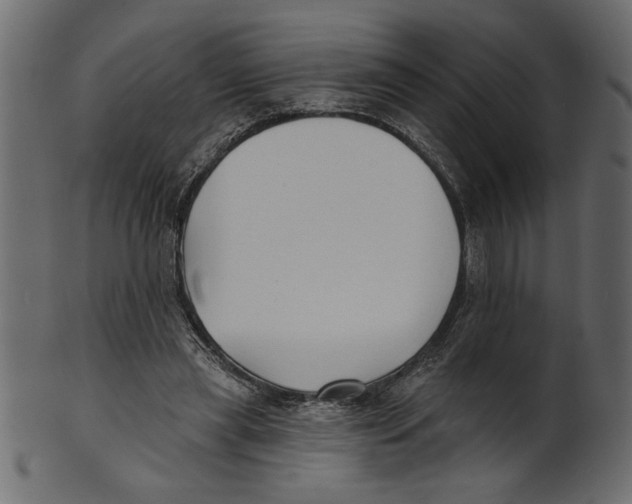 X0000100870445200807181240
