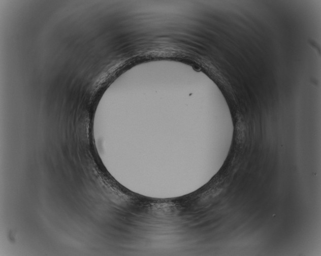 X0000100870446200807181240