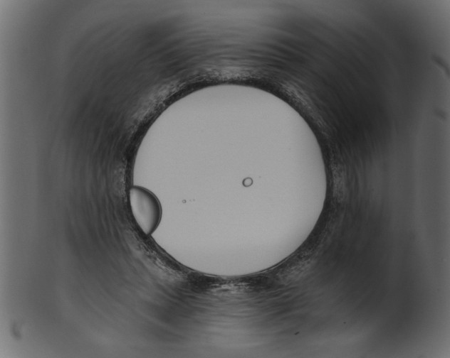 X0000100870447200807181240