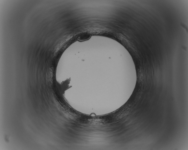 X0000100870448200807181240