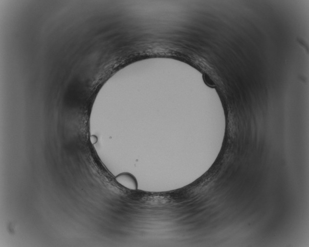 X0000100870449200807181240