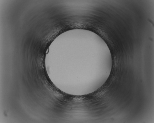 X0000100870450200807181240