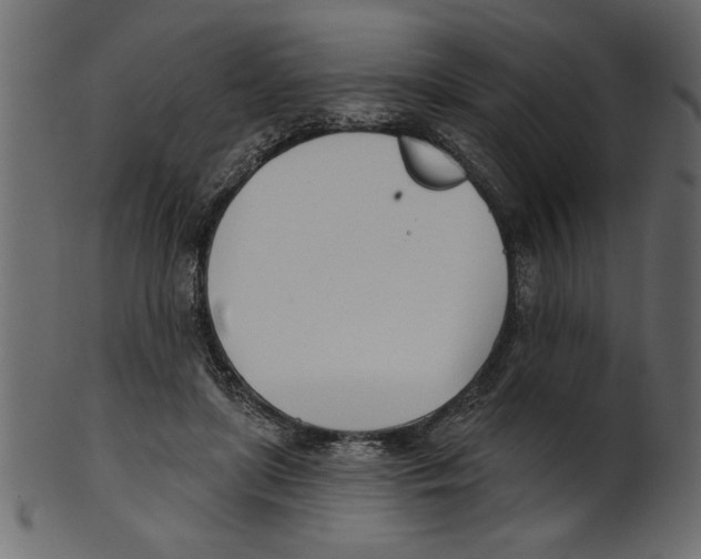 X0000100870451200807181240