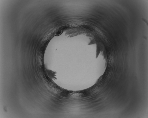X0000100870452200807181240