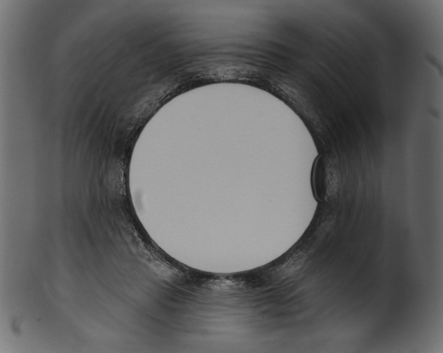 X0000100870453200807181240