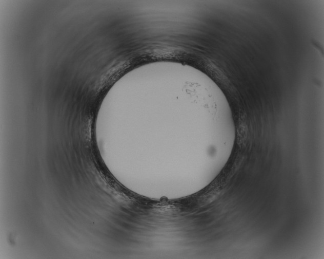 X0000100870454200807181240