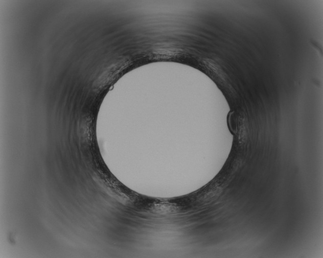 X0000100870455200807181240