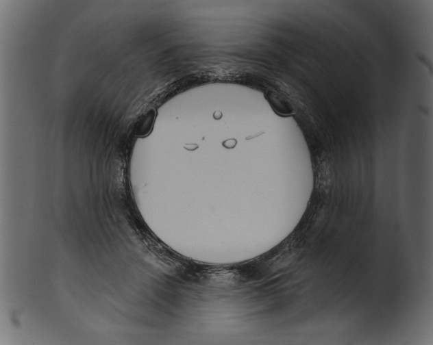 X0000100870456200807181240