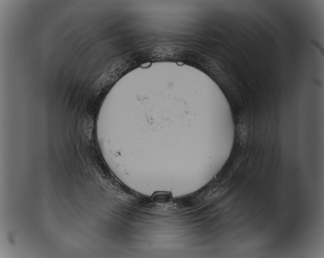 X0000100870458200807181240
