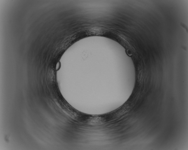 X0000100870459200807181240