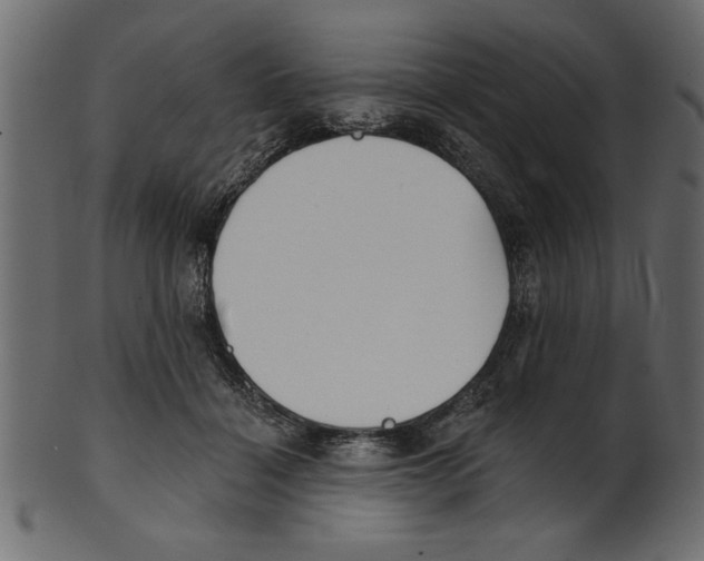 X0000100870460200807181240
