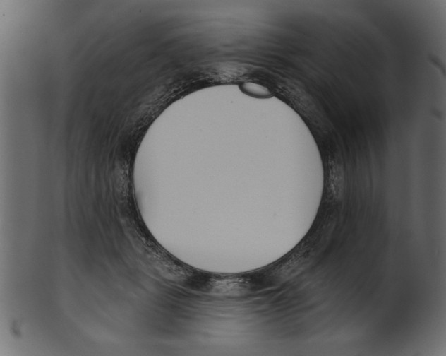 X0000100870461200807181240