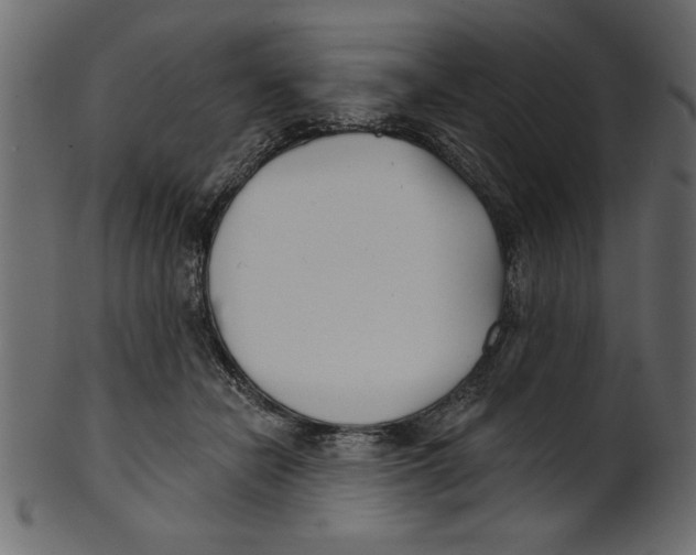 X0000100870462200807181240
