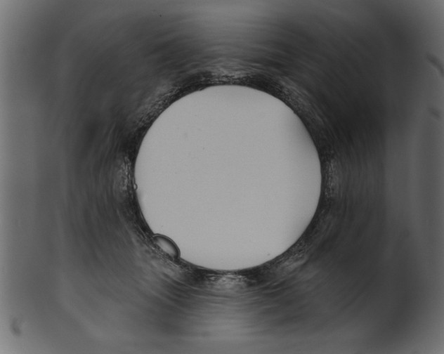 X0000100870463200807181240