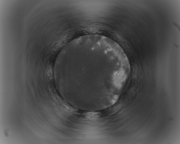 X0000100870465200807181240