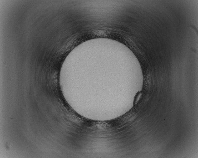 X0000100870466200807181240