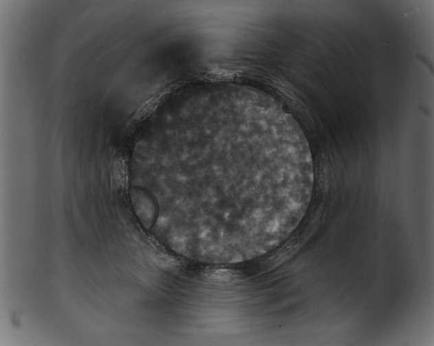 X0000100870467200807181240