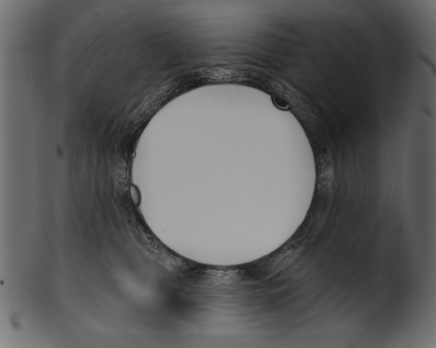 X0000100870469200807181240