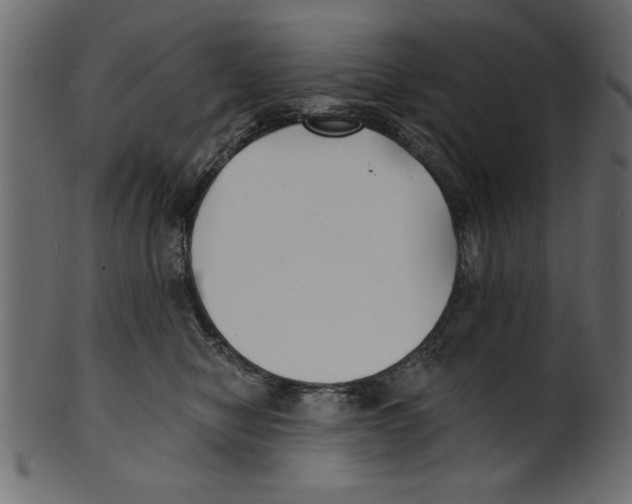 X0000100870470200807181240