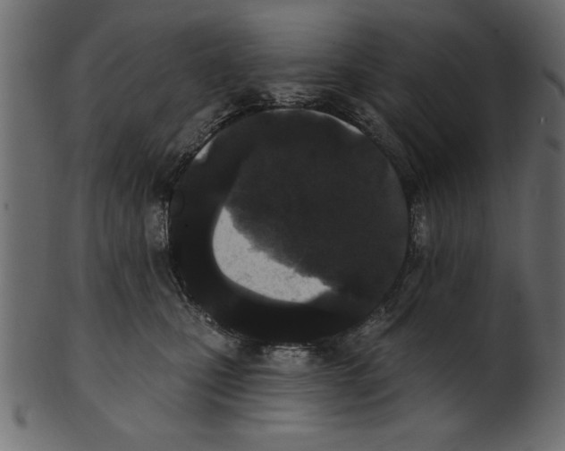 X0000100870471200807181240