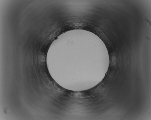 X0000100870472200807181240