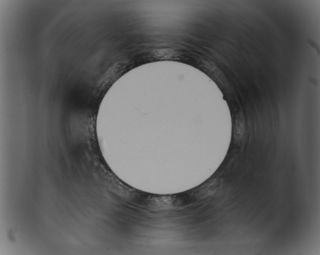 X0000100870473200807181240