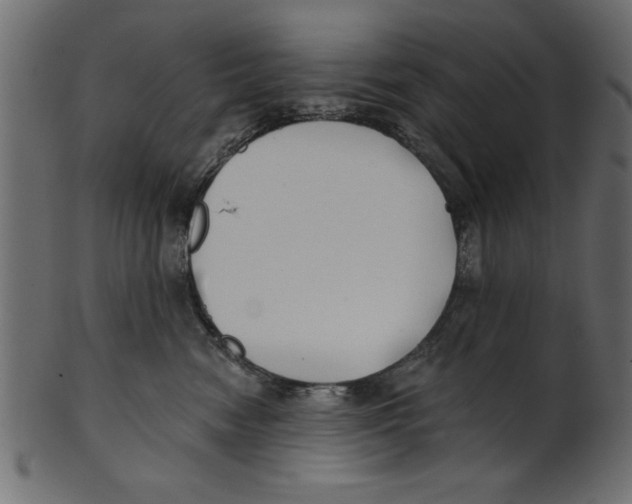 X0000100870474200807181240