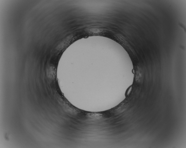 X0000100870476200807181240